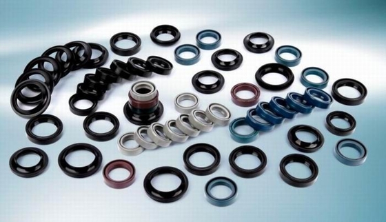 Rubber O Ring Auto Spare Parts Oil Seal / Bahan Bakar Tahan Panas Ukuran Kustom