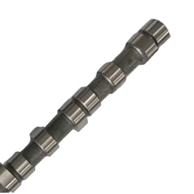 24100-42500 24100-42501 Camshaft Mesin Forged Untuk HYUNDAI TERRACAN TDI H-100STAREX 4D56